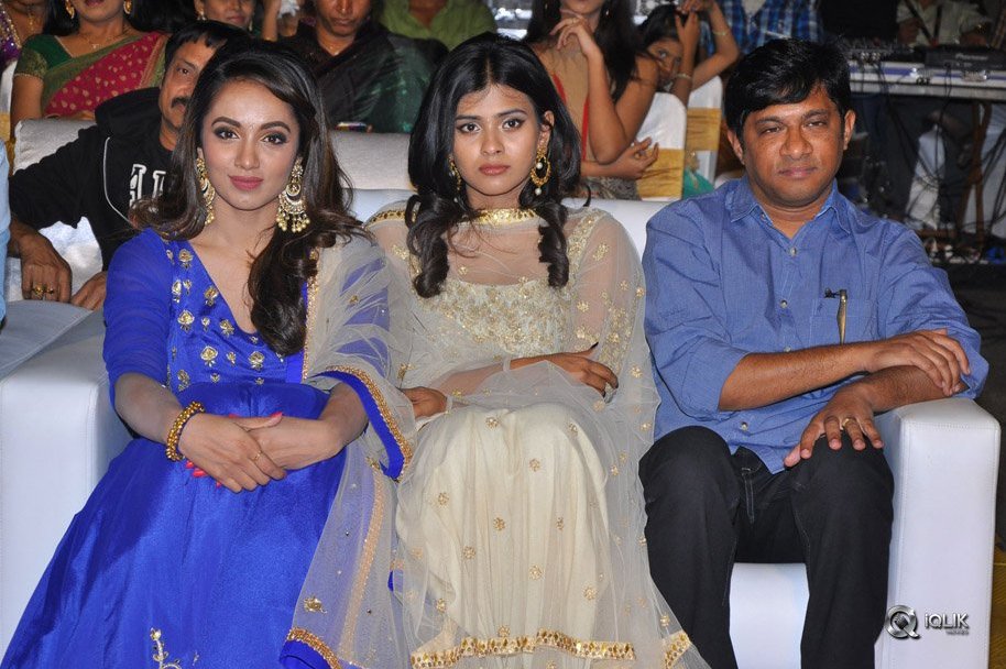 Nanna-Nenu-Naa-Boyfriends-Movie-Audio-Launch